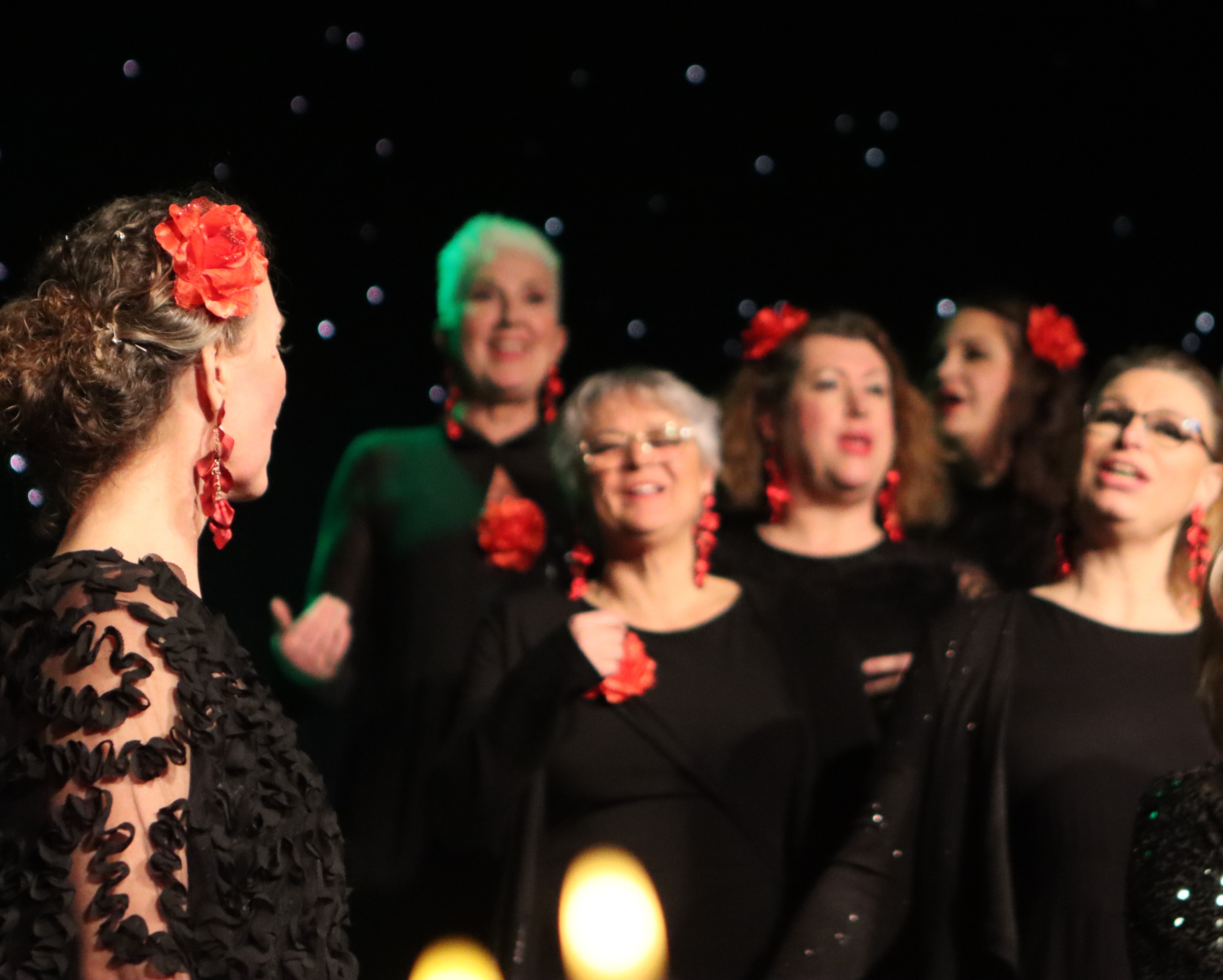 Boka Vilja A Cappella för ditt event